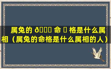 属兔的 💐 命 ☘ 格是什么属相（属兔的命格是什么属相的人）